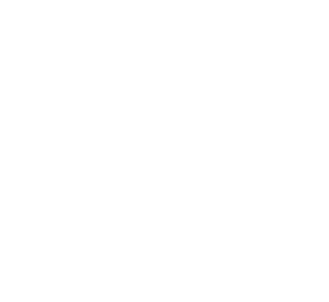 Begüm Group of Companies