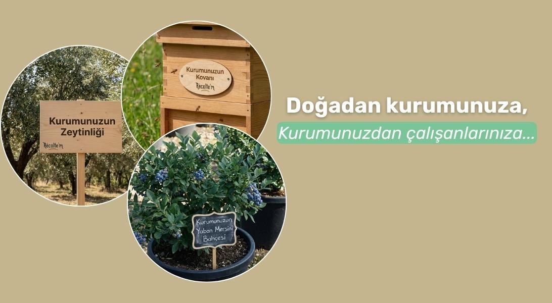 Çalışanlarınıza Kendi Tarlanızdan...